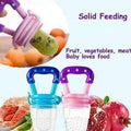 BABY SOLID BABY FRUIT PACIFIER FRESH FRUIT